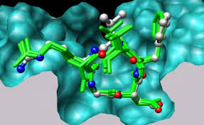 Workshop on Drug Designing